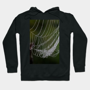 Beadwork (#2) Hoodie